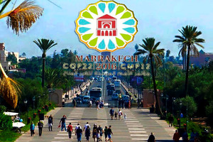 لحظ تاريخية تولد قوة دفع للتحول لـ 100% نحو الطاقة المتجددة