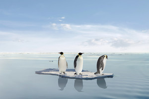 الاحترار المناخي يزيد من وتيرة الظواهر المناخية القصوى