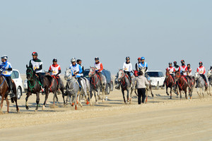 بالصور... ناصر بن حمد: السباق سيكون اختبارا حقيقيا لمعرفة جاهزية الفرسان والجياد للموسم الجديد