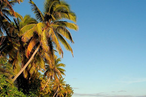 جزر فيجي ستنظم المؤتمر الدولي المقبل للمناخ في بون الألمانية