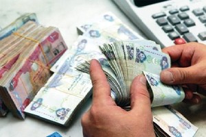 الاماراتيون مهتمون بالاستثمار في قطاعي الفلاحة والطاقات المتجددة بالجزائر