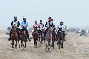 الاتحاد الملكي يواصل استعداداته لسباق الافتتاح لموسم القدرة