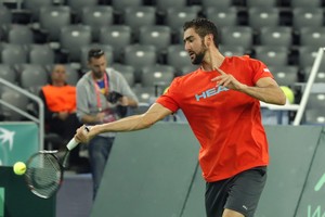 سيليتش يأمل إنهاء مسيرته الاستثنائية هذا الموسم بالفوز بكأس ديفيز أمام الأرجنتين