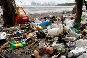 'بطل' هولندي يحول النفايات على الشواطئ إلى أعمال فنية