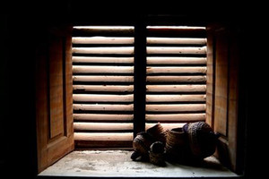 قصة قصيرة... أبيض وأسود