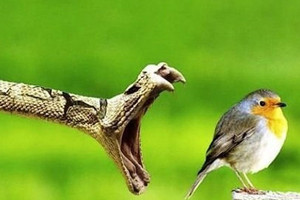 قصة قصيرة... جريان القدر