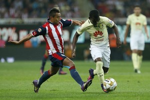 ليون وتيغريز يفتتحان غدا منافسات نصف نهائي الدوري المكسيكي