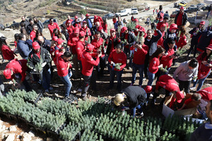  يوم تحريج لمحمية أرز الشوف دعماً لمبادرة 'الرحلة الخالية من ثاني أكسيد الكربون'