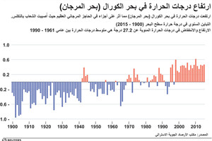 انفوجرافيك... ارتفاع درجات الحرارة في بحر الكورال (بحر المرجان)