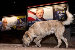 النمساويون ينتخبون رئيسهم غداً في ختام حملة شديدة القساوة
