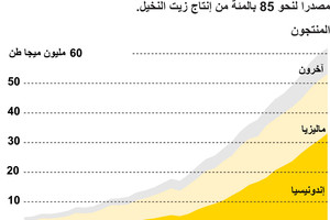 انفوجرافيك... تعرف على أكبر منتجي زيت النخيل