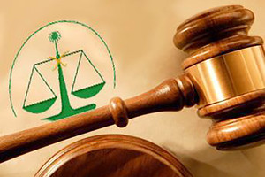 'الجزائية السعودية' تصدر حكماً بقتل 15 مداناً من خلية 'التجسُّس الإيرانية'