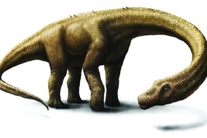اكتشاف ذيل ديناصور سيساعد على فهم تطور هذه الحيوانات المنقرضة 