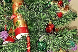 امرأة أسترالية تعثر على ثعبان سام في شجرة عيد الميلاد