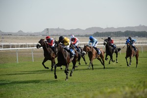 55 جواداً في السباق الثامن للخيل