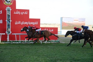 صراع قوي بين الجياد على كؤوس الحواج والرميحي والوسمية