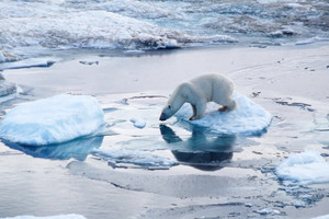 القطب الشمالي منطقة يهددها الاحترار المناخي والنشاط البشري