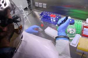 إجراءات سريعة لترخيص استخدام لقاح فيروس الإيبولا 