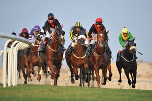 مشاركة كبيرة ومنافسات منتظرة على كؤوس وجوائز 'ناس المؤسسة' في السباق التاسع للخيل