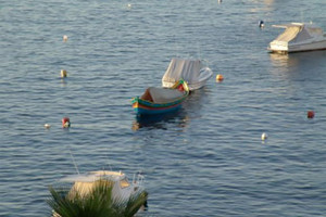 الكويت تطلق 165 ألف سمكة لتعزيز أمنها الغذائي