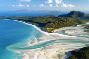 خبير أحياء بحرية يحذر من مشكلة انتشار فصيلة مميتة من قناديل البحر في استراليا