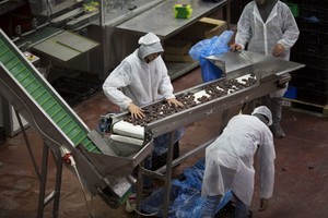 تباطؤ وتيرة نمو النشاط الاقتصادي للمصانع والقطاع غير الصناعي في الصين