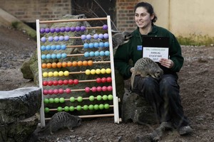 بالصور: حديقة حيوان بلندن تبدأ الجرد السنوي لحيواناتها بهدايا تحفيزية!