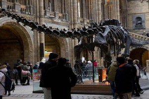 متحف التاريخ الطبيعي في لندن يودع الديناصور ديبي