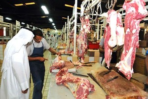 صرف مبالغ التعويض عن رفع الدعم عن اللحوم يومي السبت والأحد   