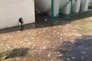 بلدية المحرق: مجهولون يقومون بأعمال إتلاف في 3 حدائق بالمحرق