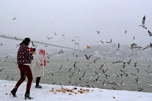 الثلوج تشل الحركة في اسطنبول