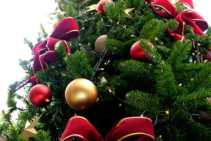 إقامة بطولة رمي أشجار الكريسماس السنوية في نسختها الـ 11 بألمانيا