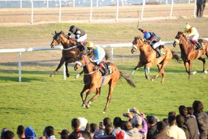 كؤوس عيسى بن سلمان ونجليه ومحمد بن سلمان تشعل صراع الجياد والفرسان