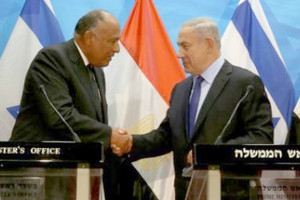 وزير الخارجية المصري يشارك في المؤتمر الدولي للسلام بباريس