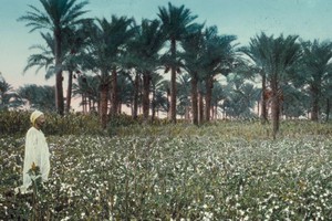 كيف نظر الفقراء إلى جمال عبدالناصر؟