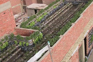 مصريون يبدعون تحت شعار: 'الحاجه أم الاختراع'