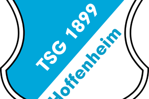 جريليتش ينضم إلى هوفنهايم في صفقة انتقال حر