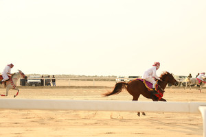 بالصور... انطلاق الأسبوع الثالث لمسابقة البحرين للصقور والصيد بمتابعة عاهل البلاد