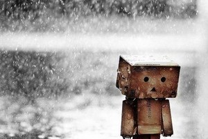 قصة قصيرة... كوب (بطوط)