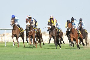 60 جواداً ومنافسات منتظرة على كؤوس اللكزس وفطيس الهاجري في السباق الـ 13 للخيل