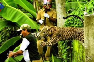 صور تراجيدية التُقطت قبل ثانية من وقوع مأساة