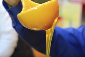 بالفيديو... العسل اليمني في معرض الخريف