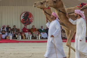 بالصور... القعود: متابعة عاهل البلاد لمسابقة البحرين للصقور محل فخر واعتزاز المنظمين والمشاركين