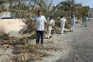 بالصور... جمعية 'آل حبيل' تنظف مقبرة سفالة بسترة