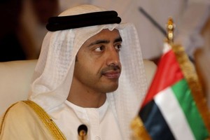 وزير خارجية الإمارات: حظر السفر لأميركا قرار سيادي ولايستهدف دينا بعينه