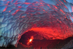 ﻿حبة بندق تنمو في رأسي