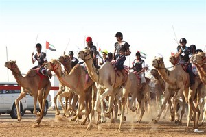 مهرجان في صحراء الامارات يحتفي بموروثها الثقافي
