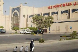 بحرينيون يستقبلون موجة البرد بالنكات وتبادل الصور الطريفة