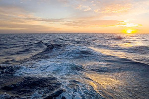 منظمة غير حكومية تعتبر ان حل تلوث المحيطات 'يكمن على اليابسة'