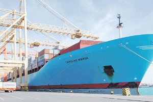 مؤشر الثقة 'YPO Global Pulse': عودة الثقة الاقتصادية في منطقة الشرق الأوسط وشمال أفريقيا